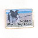 - Offset Printed Lapel Pin 19 -